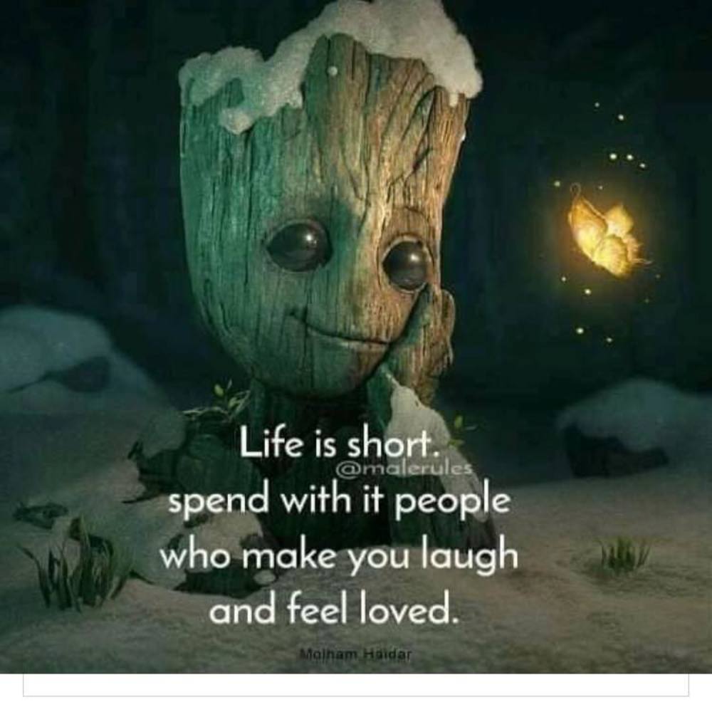 Meet your Posher, Dani